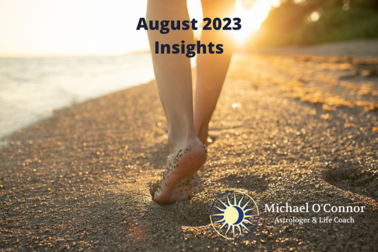 August 2023 Insights